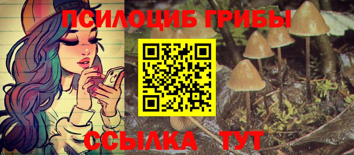 где продают   Псилоцибиновые грибы ЛСД  Галлюциногенные грибы ЛСД  Вход с VPN  Шебекино 