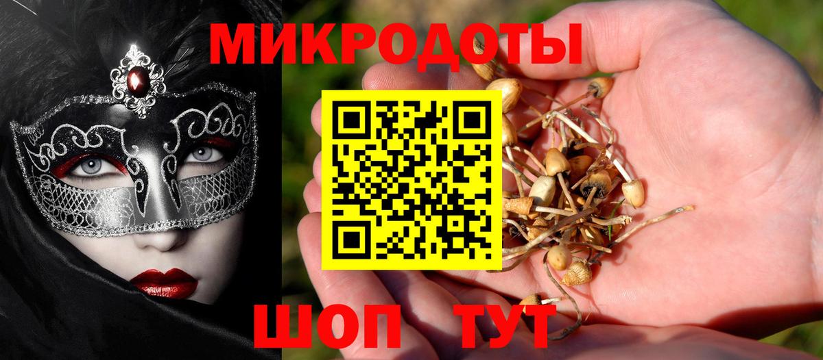 Галлюциногенные грибы ЛСД Шебекино
